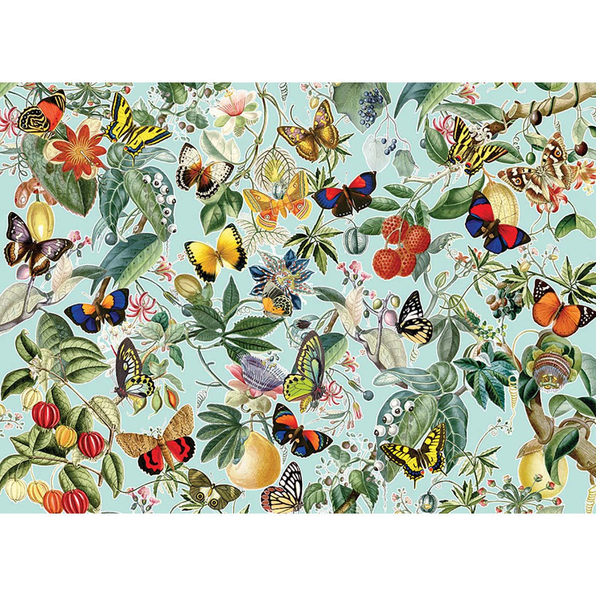 Fruit & Flutterbies 1000 Piece Jigsaw Puzzle Cobble Hill