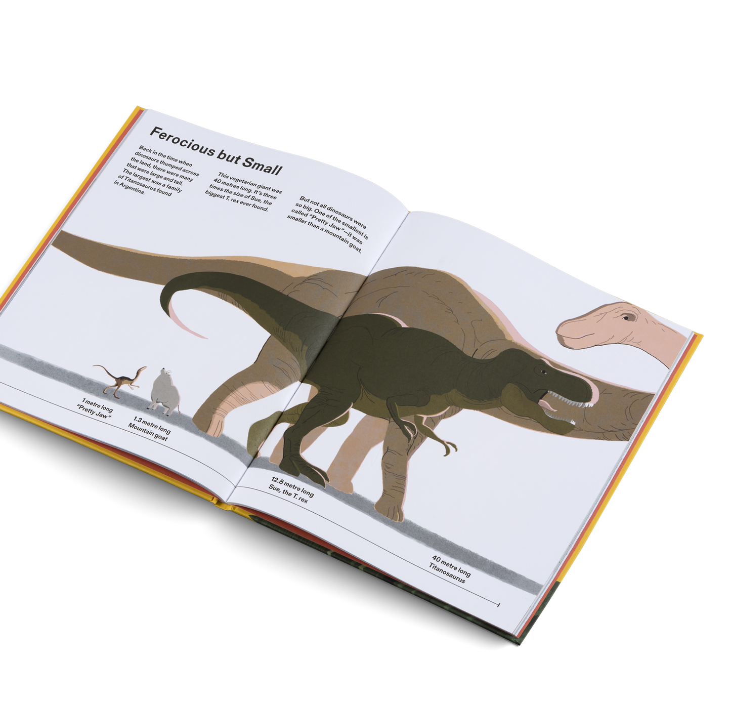 How Big Is Big? How Far Is Far? All Around Me