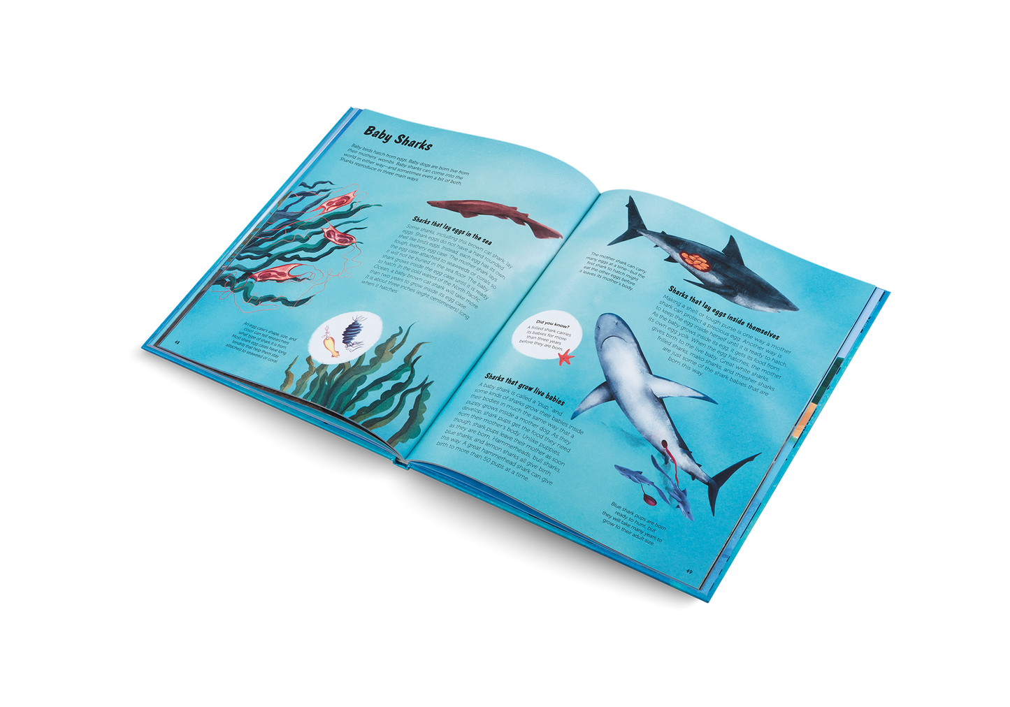 The World of Sharks