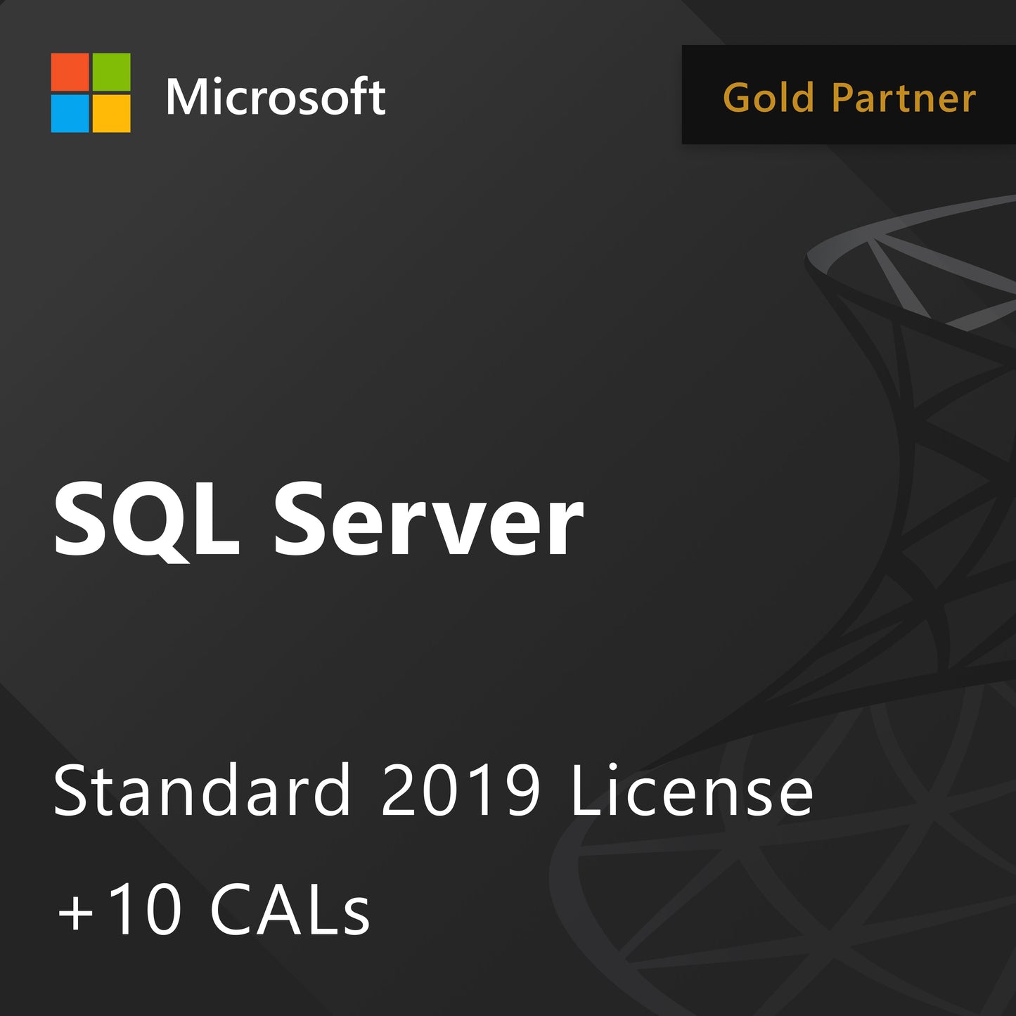 Microsoft SQL Server 2019 Standard - Licencia + 10 CAL