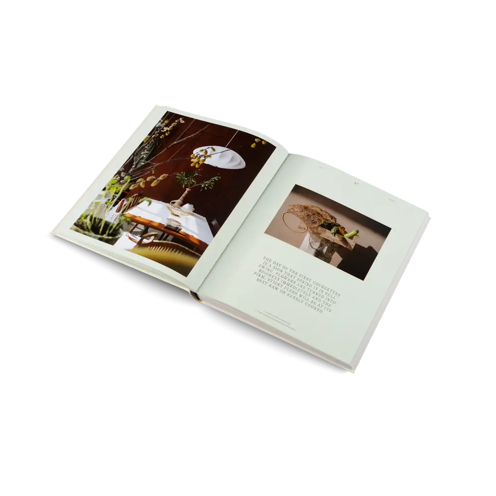 A Spoonful of Sun Book
