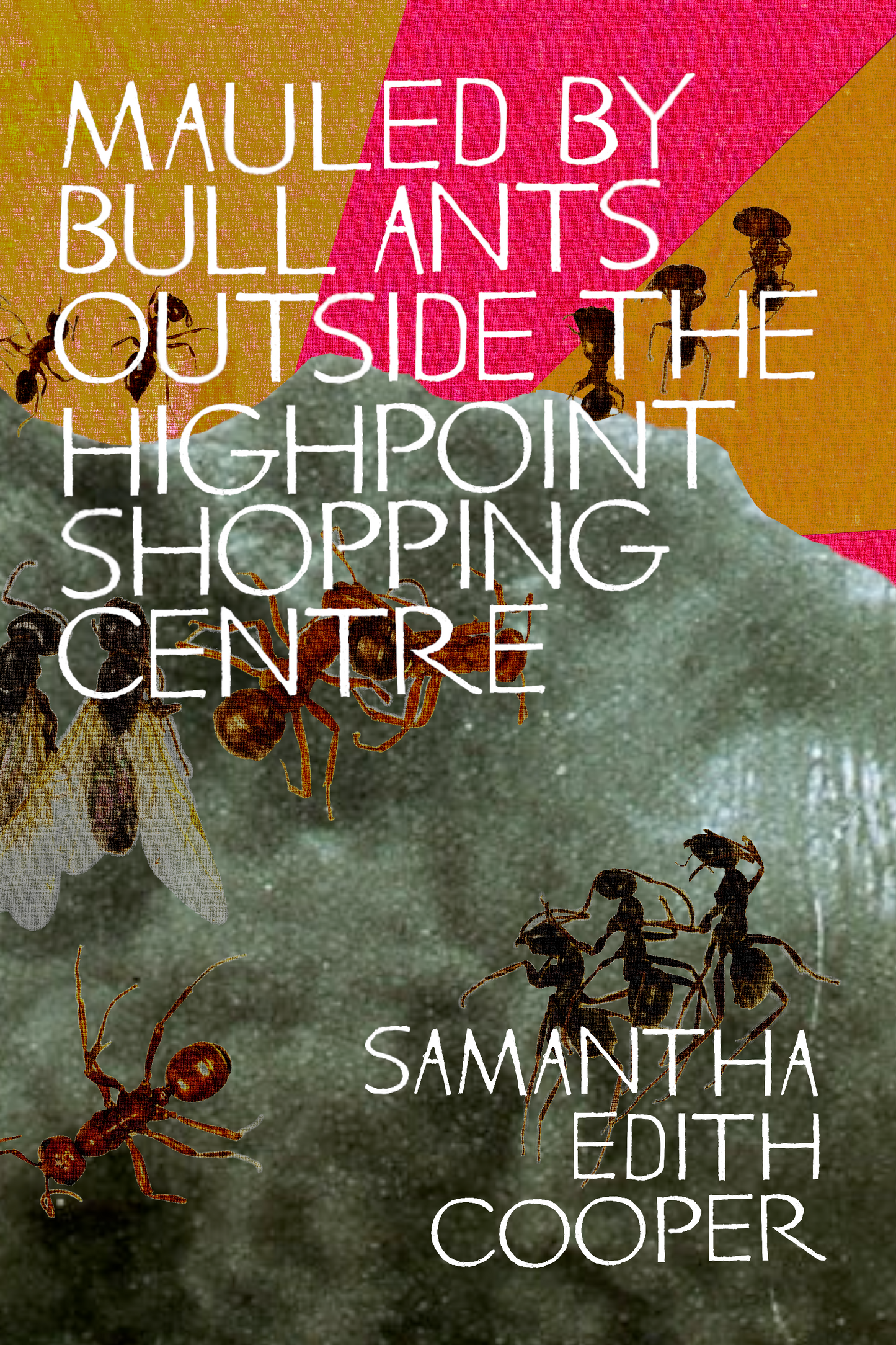 Mauled by Bull Ants Outside the Highpoint Shopping Centre, by Samantha Edith Cooper
