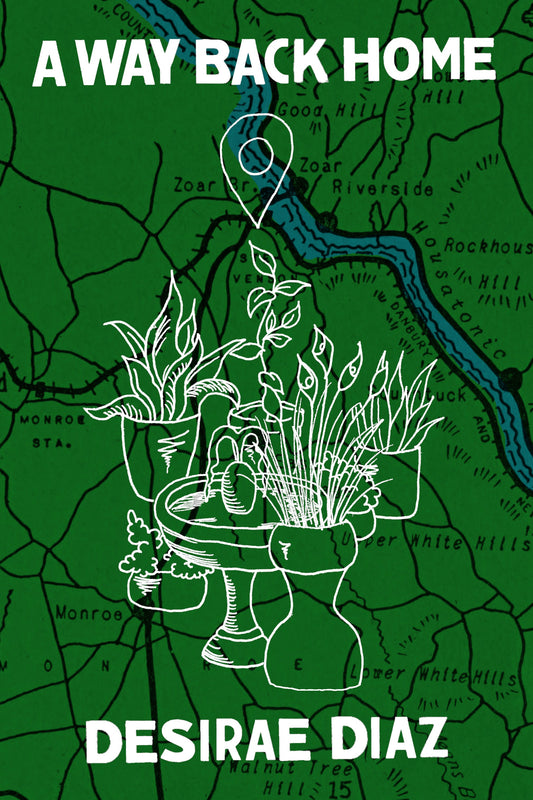 A Way Back Home, by Desirae Diaz