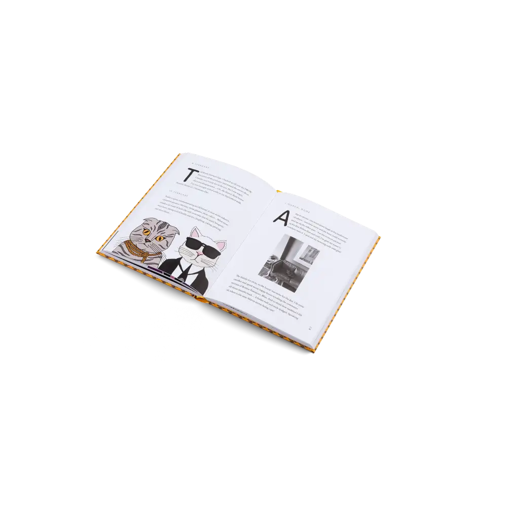 Blue Chip Book