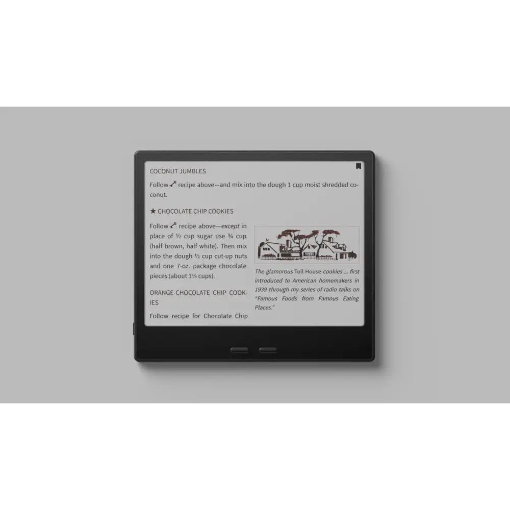 BOOX Go 7” (B&W) eReader Boox Tablet