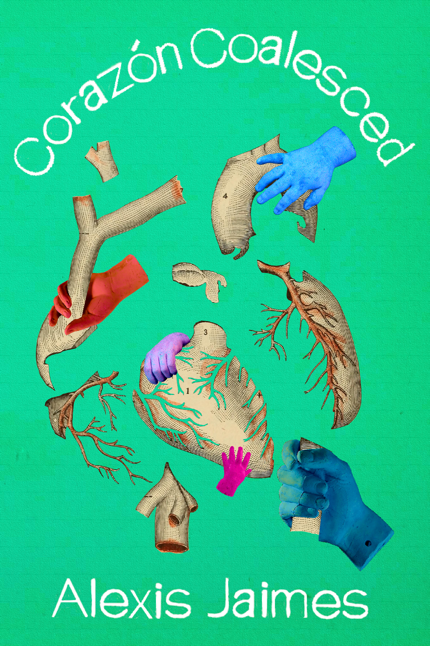 Corazón Coalesced, by Alexis Jaimes