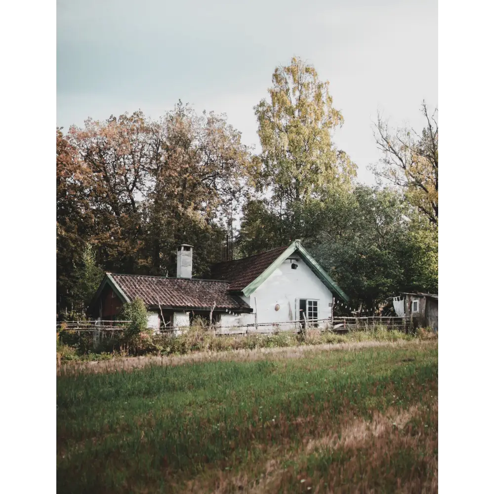 Country And Cozy Book
