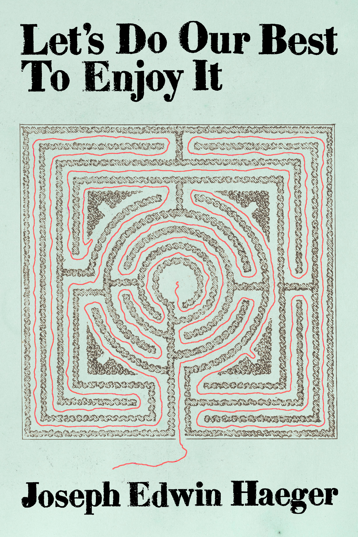 Let's Do Our Best to Enjoy It, by Joseph Edwin Haeger