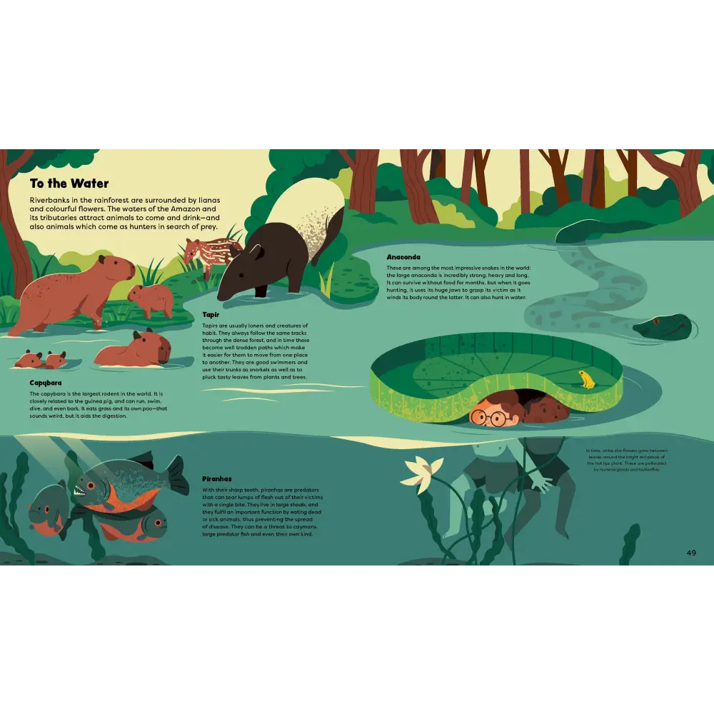 Explore the Rainforest Books