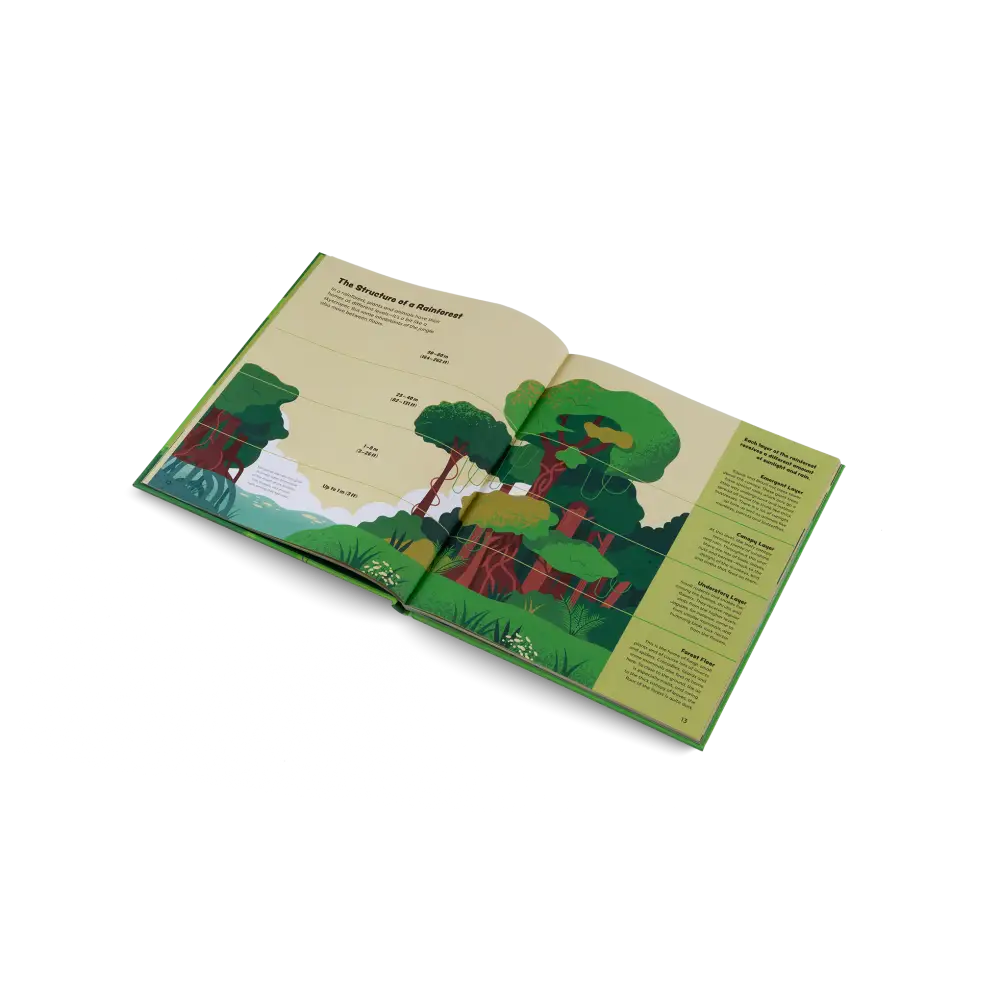 Explore the Rainforest Books