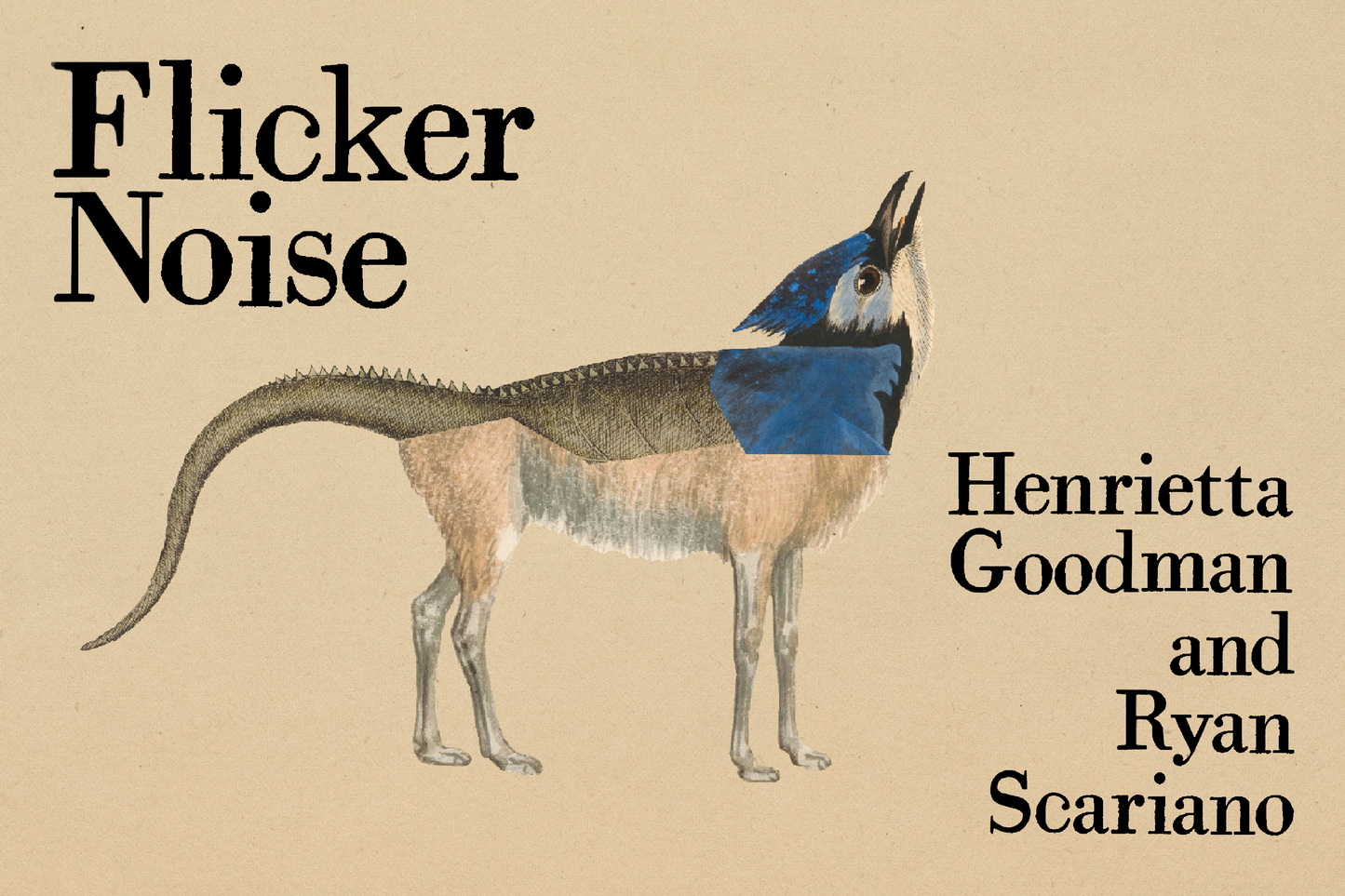 Flicker Noise, by Henrietta Goodman and Ryan Scariano