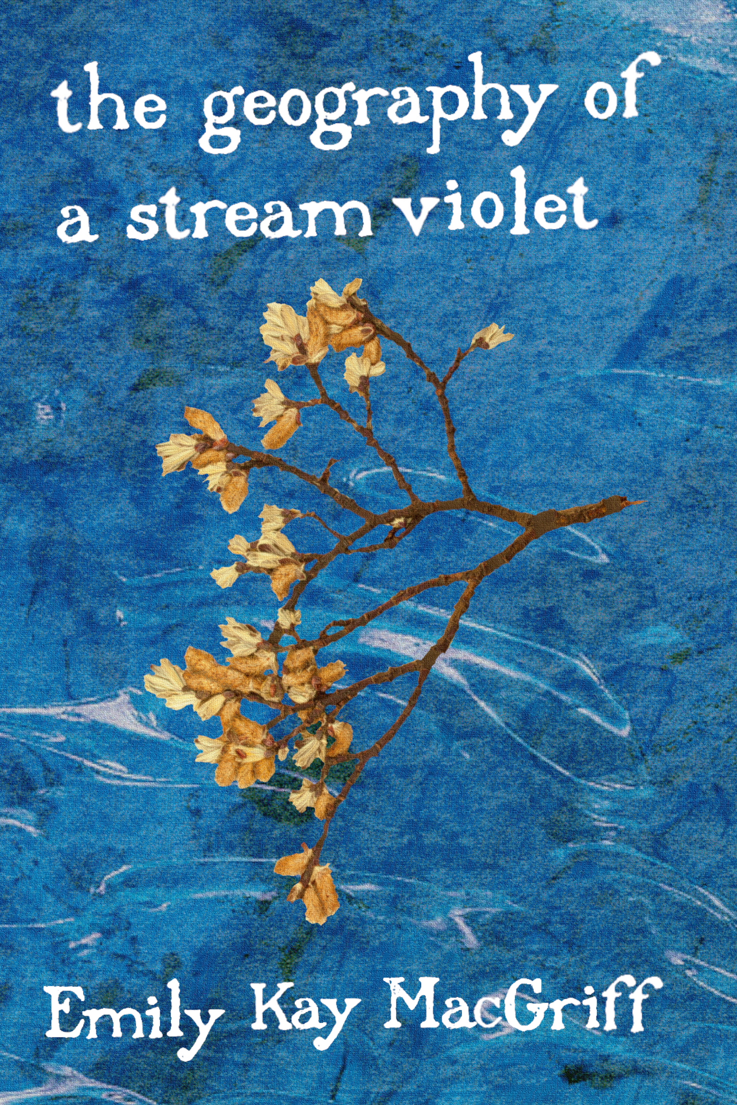 the geography of a stream violet, by Emily Kay MacGriff