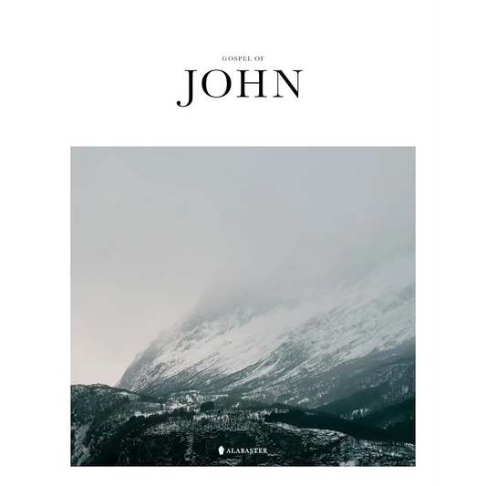 Gospel of John cover image