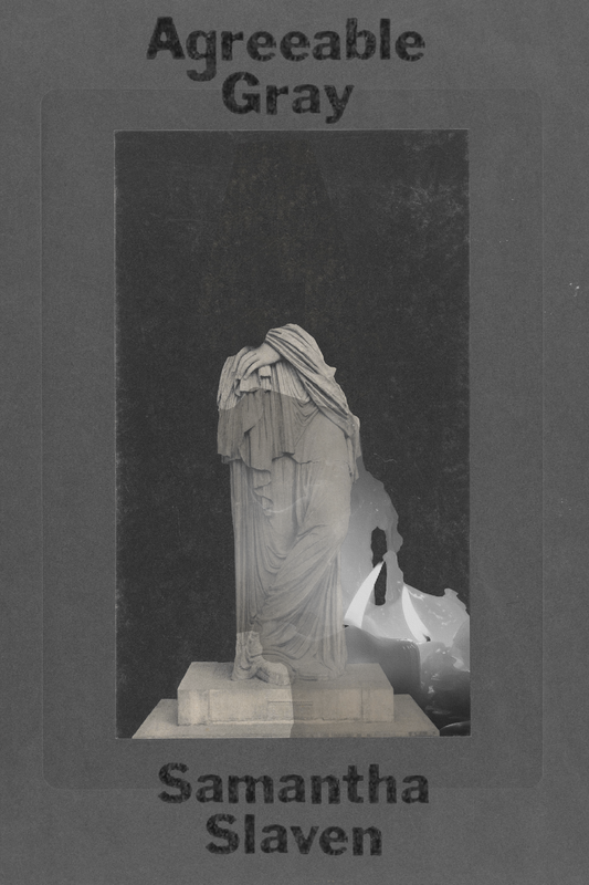 Agreeable Gray, by Samantha Slaven