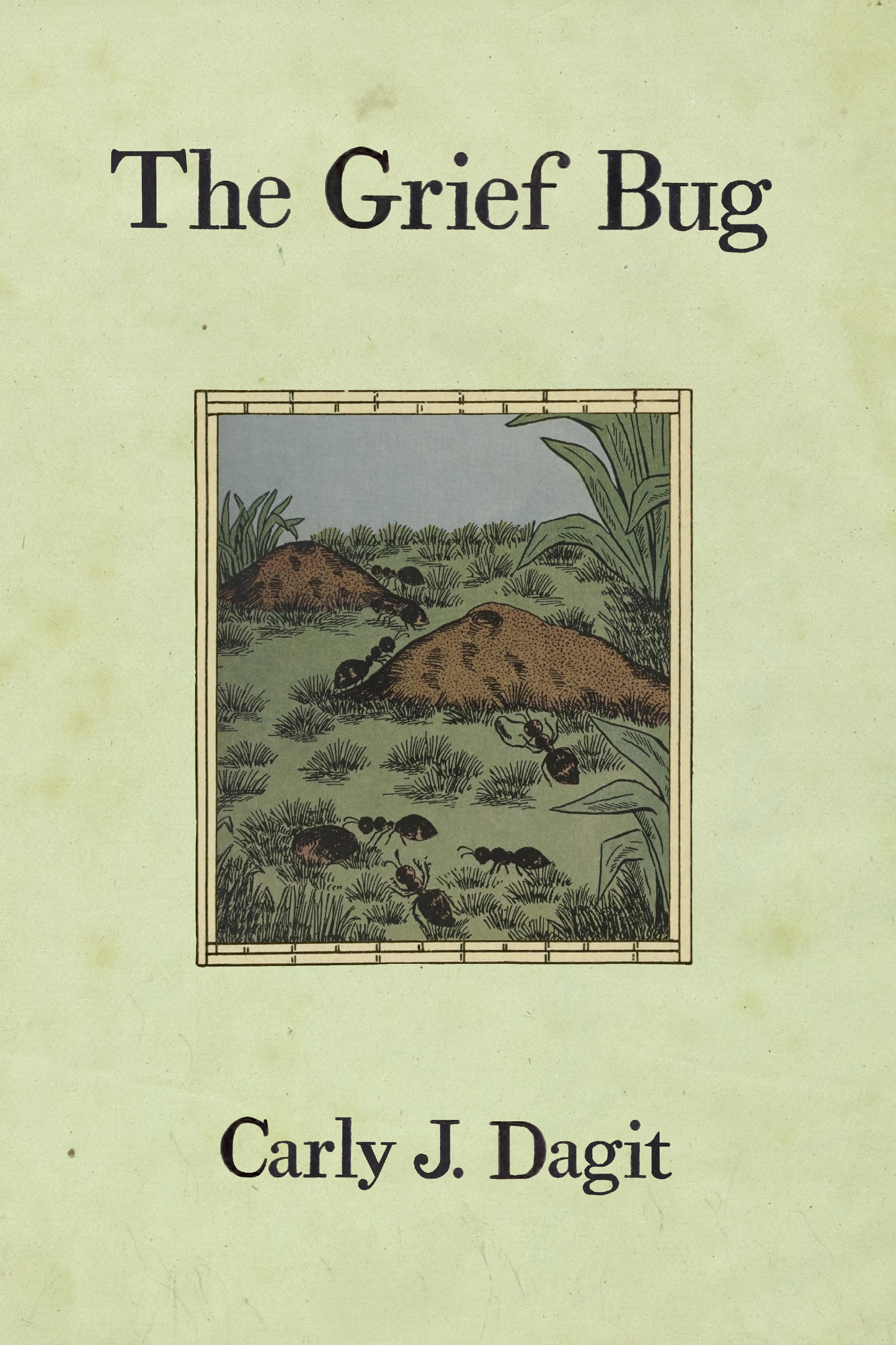 The Grief Bug, by Carly Dagit