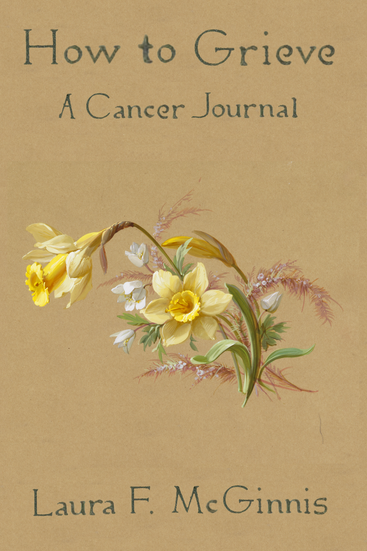 How to Grieve: a cancer journal, by Laura F. McGinnis
