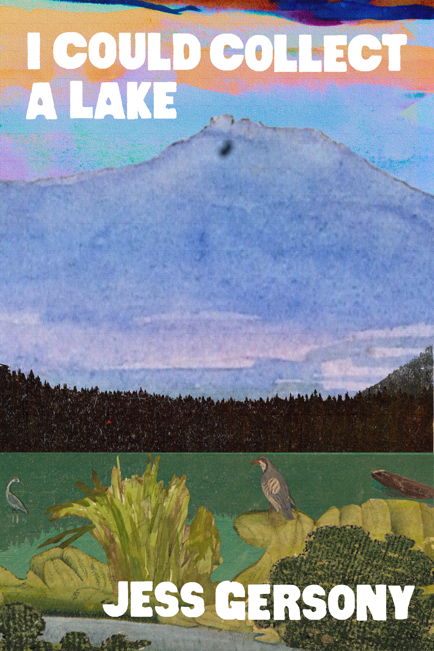 I Could Collect a Lake, by Jess Gersony