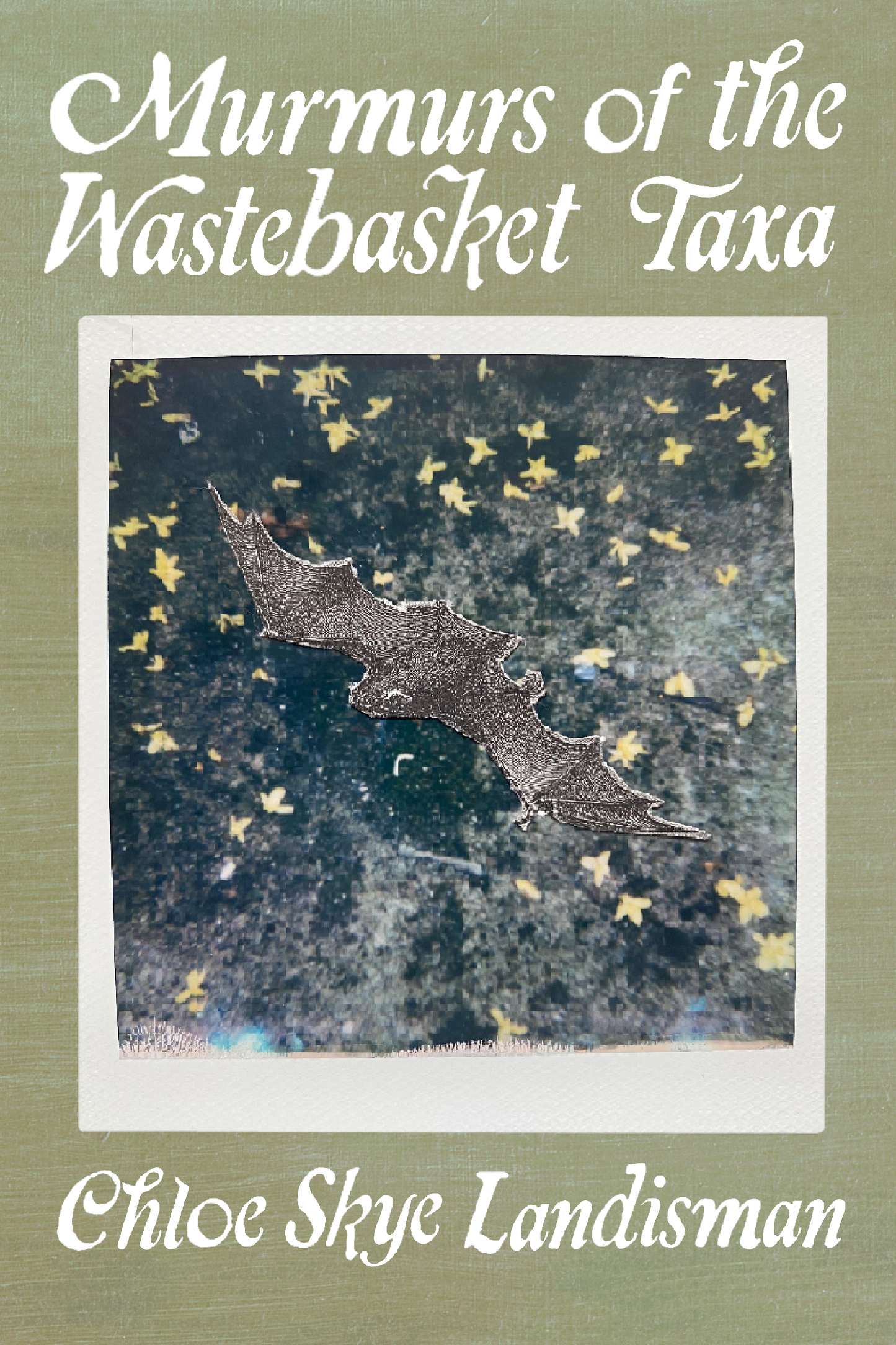 Murmurs of the Wastebasket Taxa, by Chloe Skye Landisman
