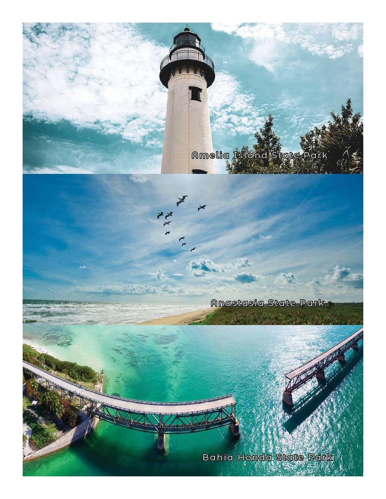 NEW - Florida Adventure Book