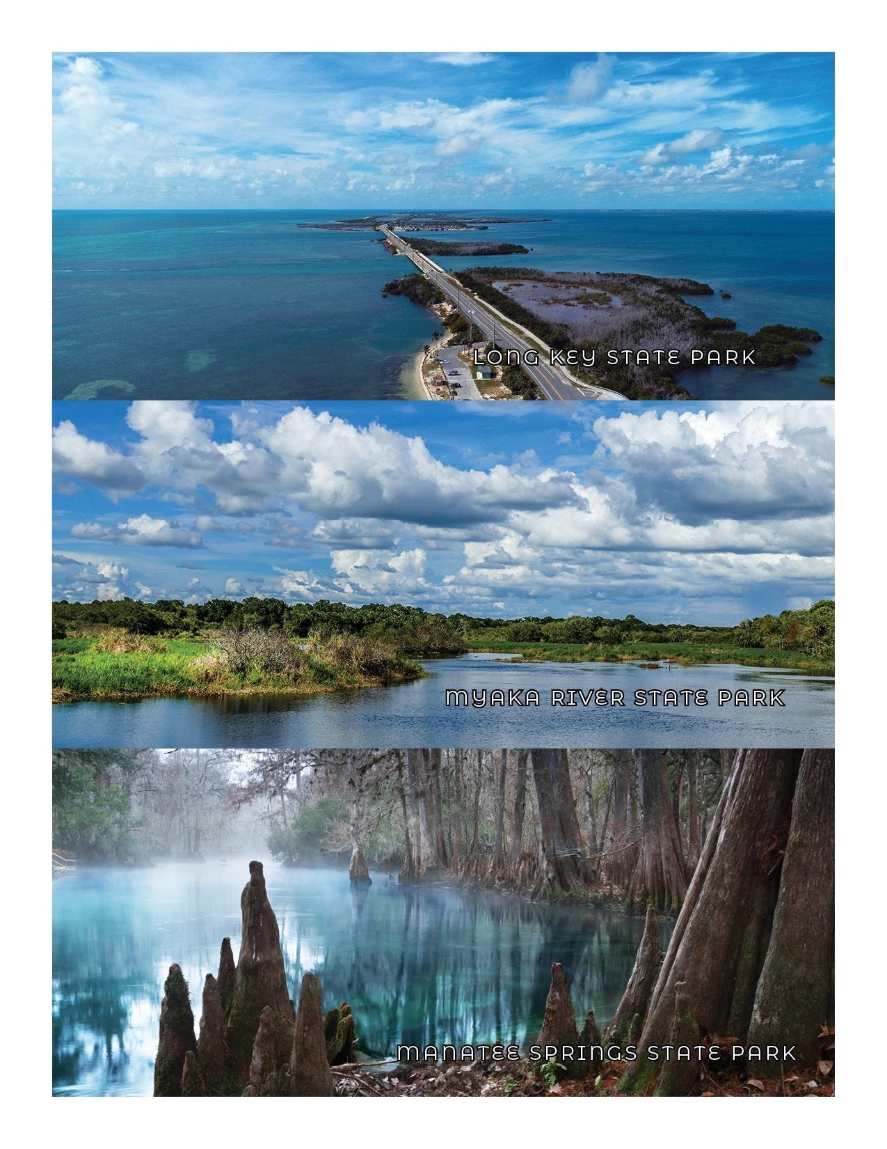 NEW - Florida Adventure Book