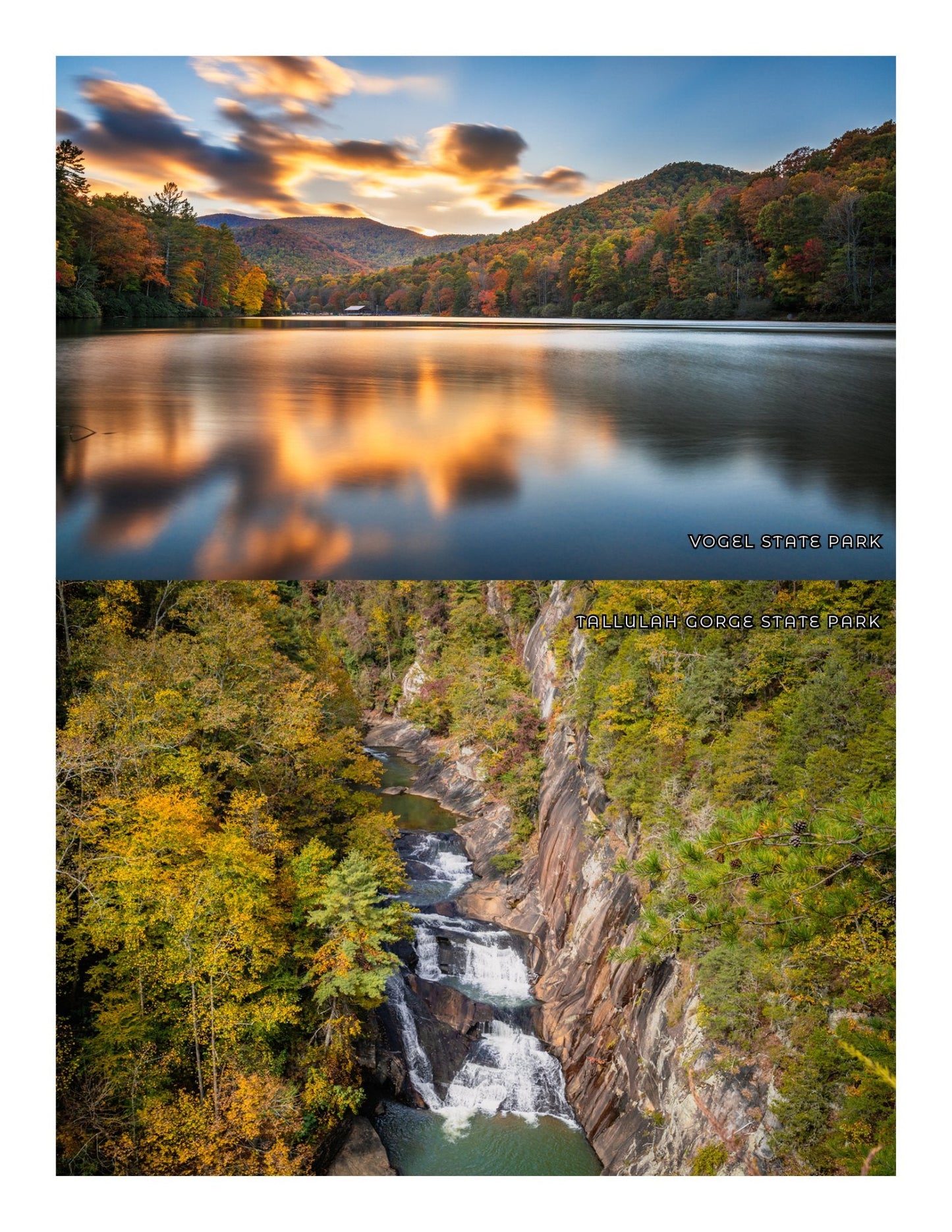 NEW - Georgia Adventure Book