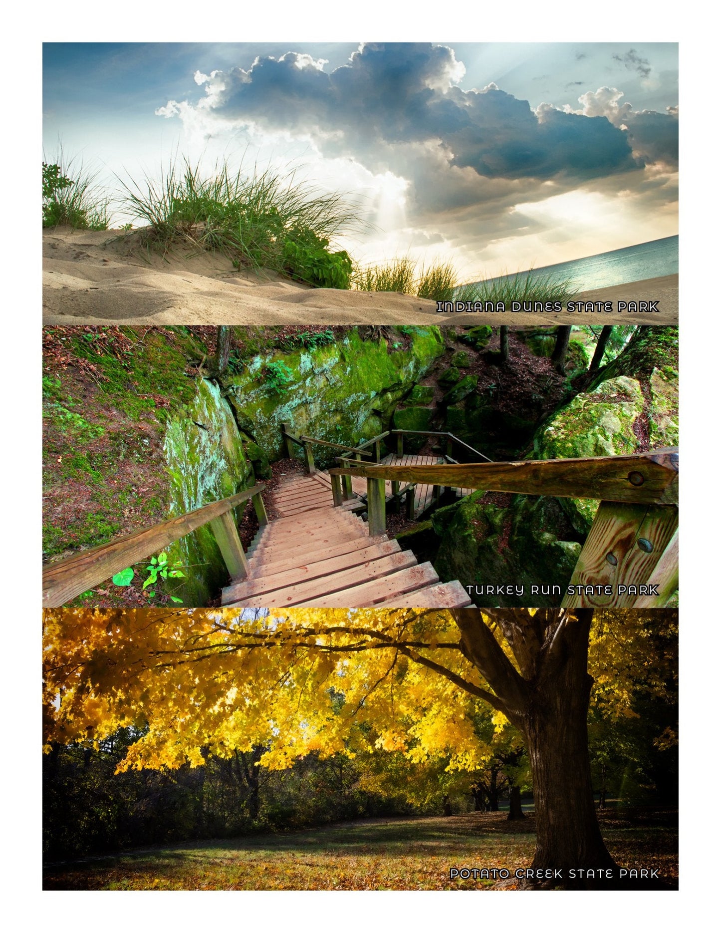 NEW - Indiana Adventure Book