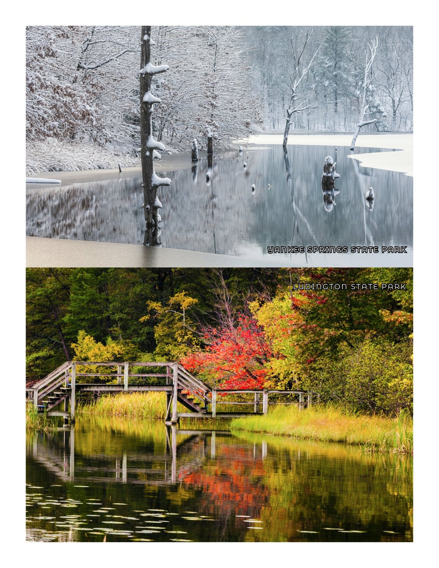 NEW - Michigan Adventure Book