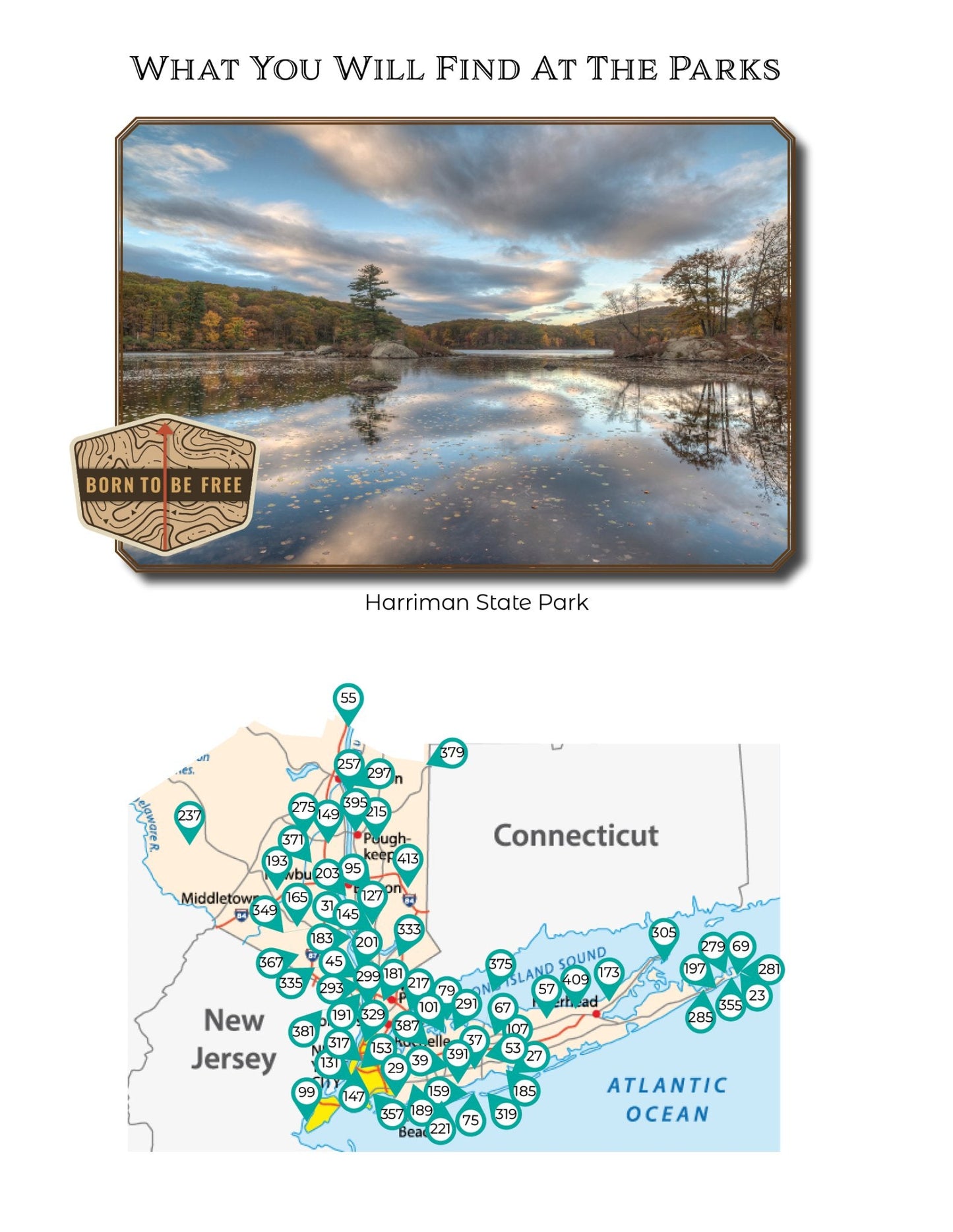 NEW - New York Adventure Book