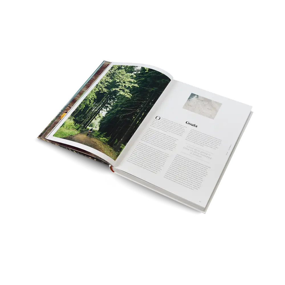 One Year on a Bike Book