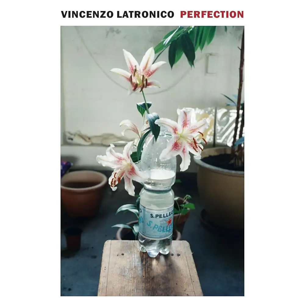 Perfection cover image