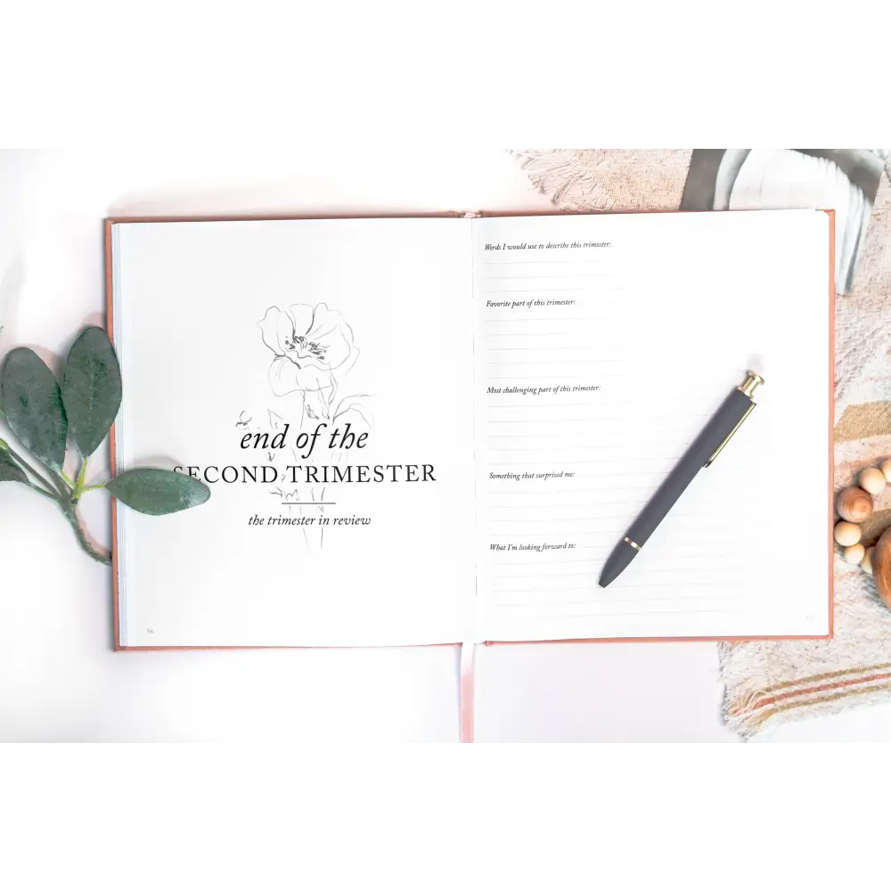 Pregnancy Journal Journal
