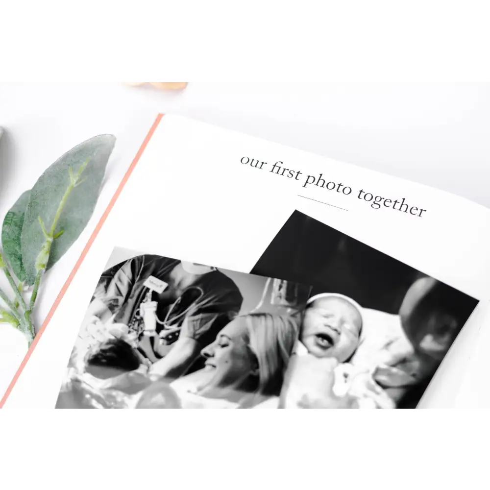 Pregnancy Journal Journal
