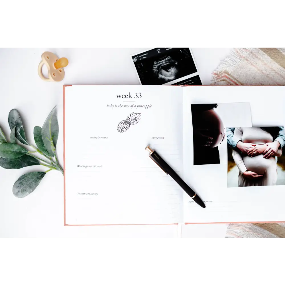 Pregnancy Journal Journal
