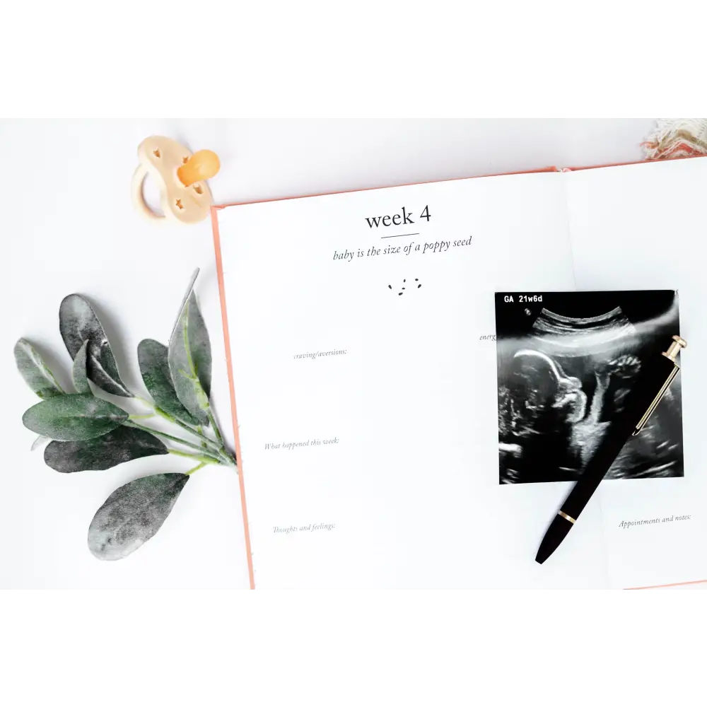 Pregnancy Journal Journal