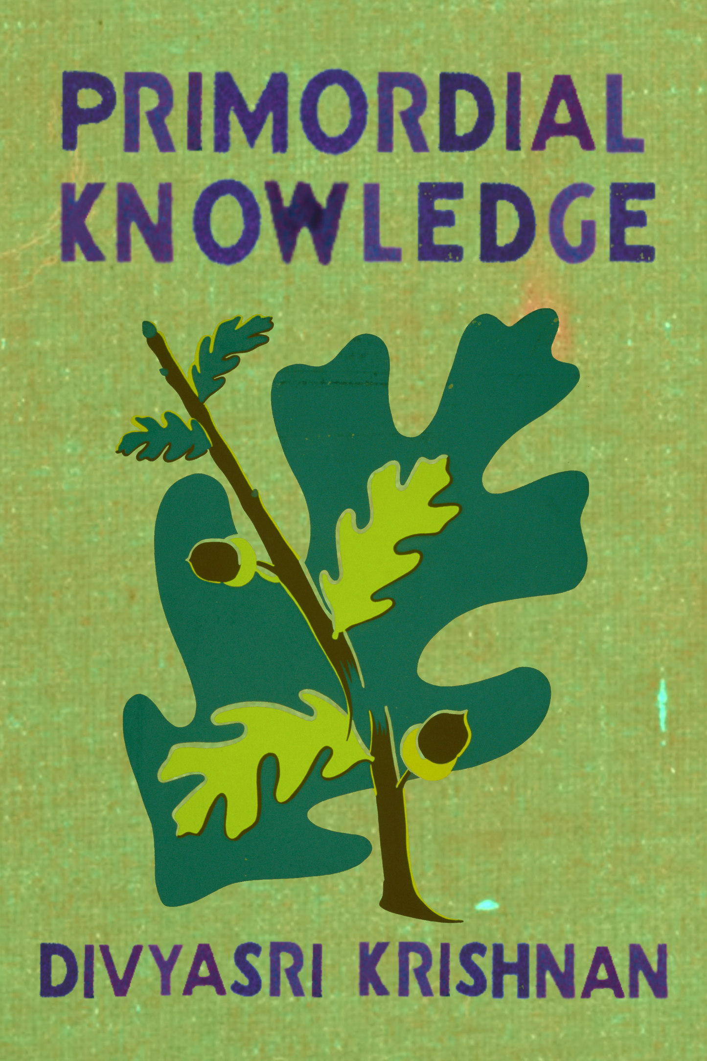 Primordial Knowledge, by Divyasri Krishnan