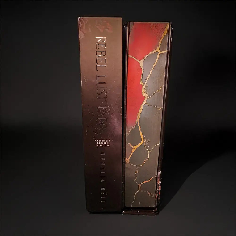 Rebel Lust Taboo Special Edition Discreet Hardcover (SIGNED) Signed Hardcover