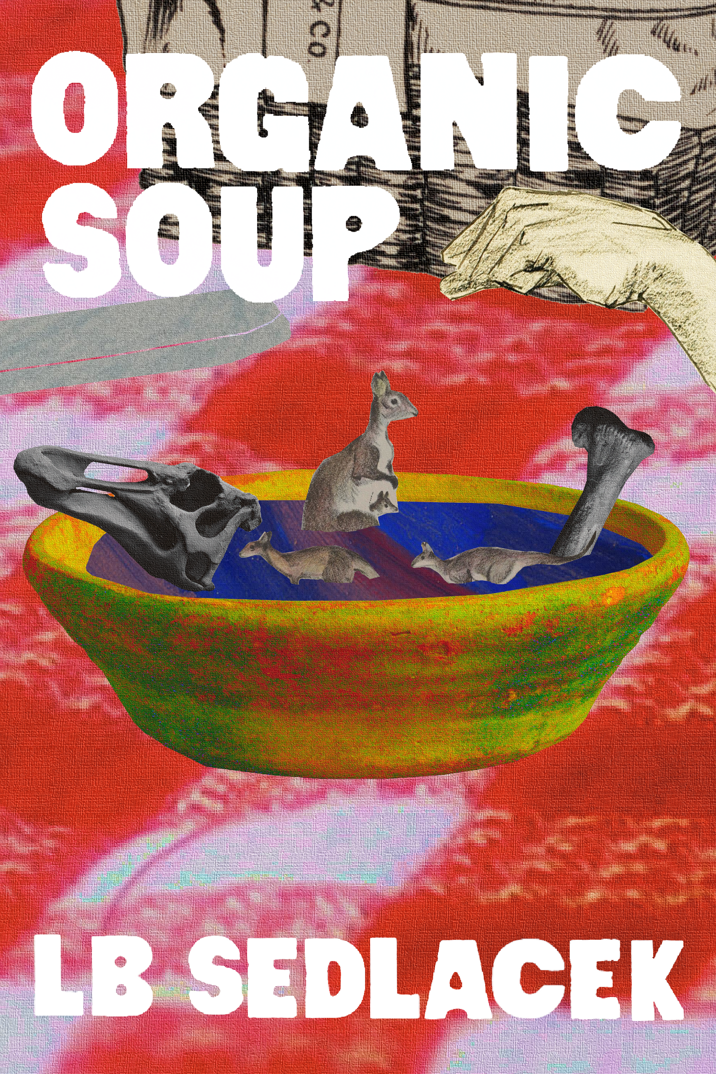 Organic Soup, by LB Sedlacek