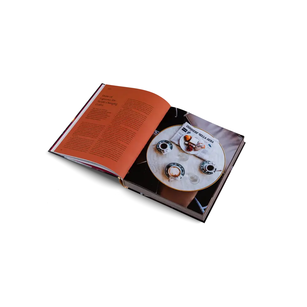 Spill The Beans Book