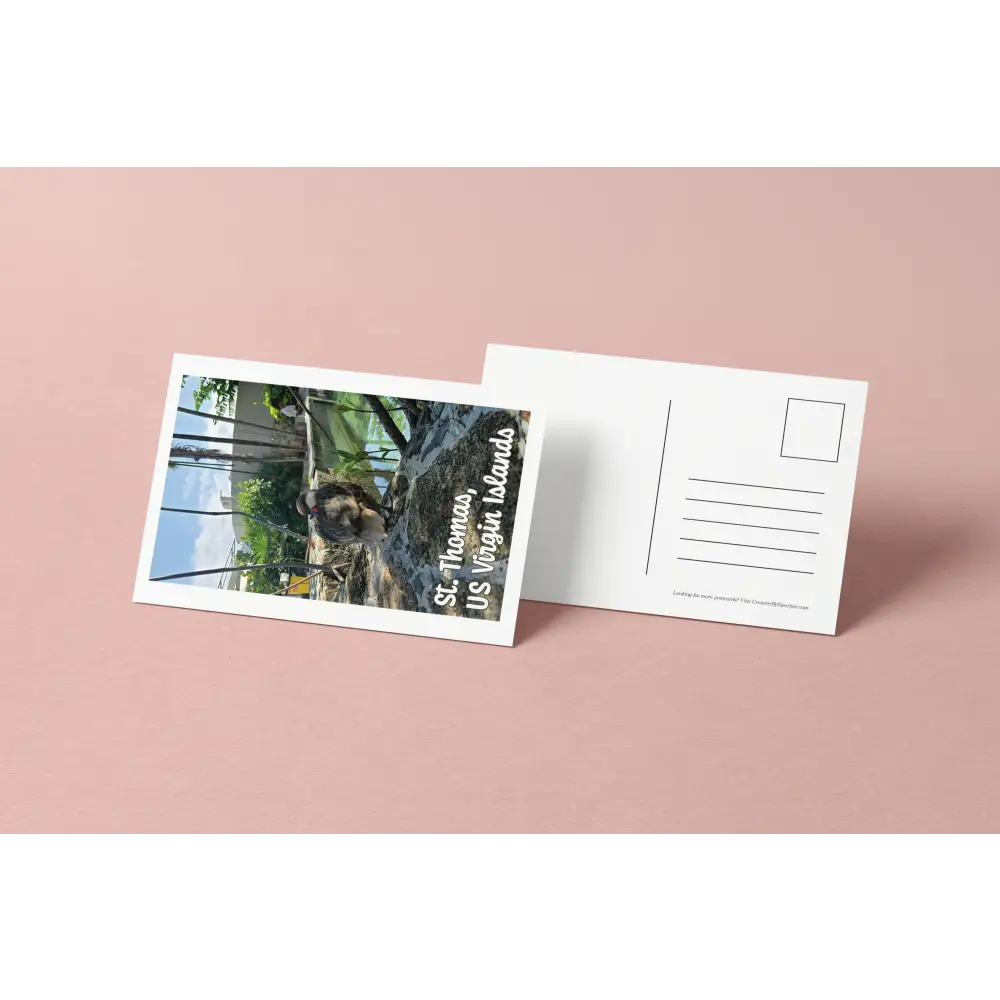 St. Thomas USVI Postcard – Tropical Island Bird – Original Photography by Creative By Sanchez - Postcard