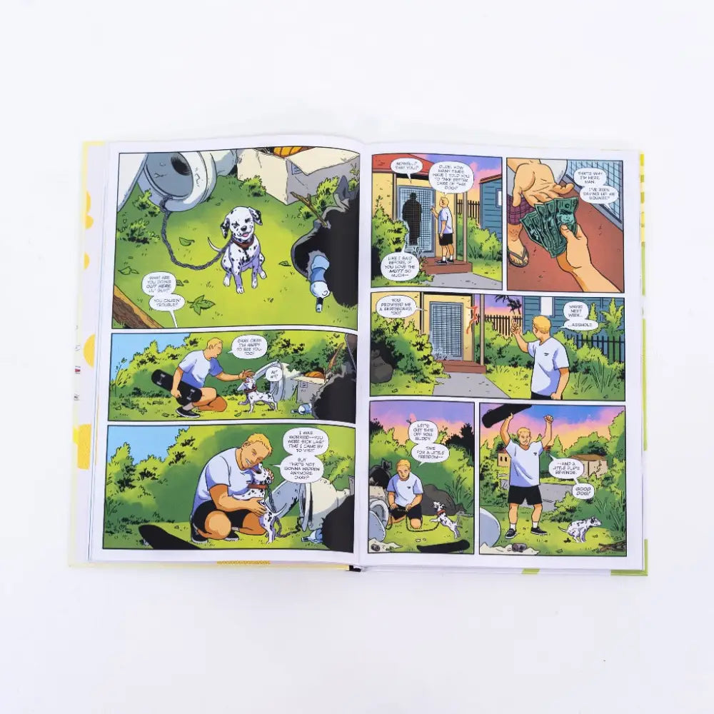 Sublime: $5 at the Door - Hardcover - Book Vinyl Edition