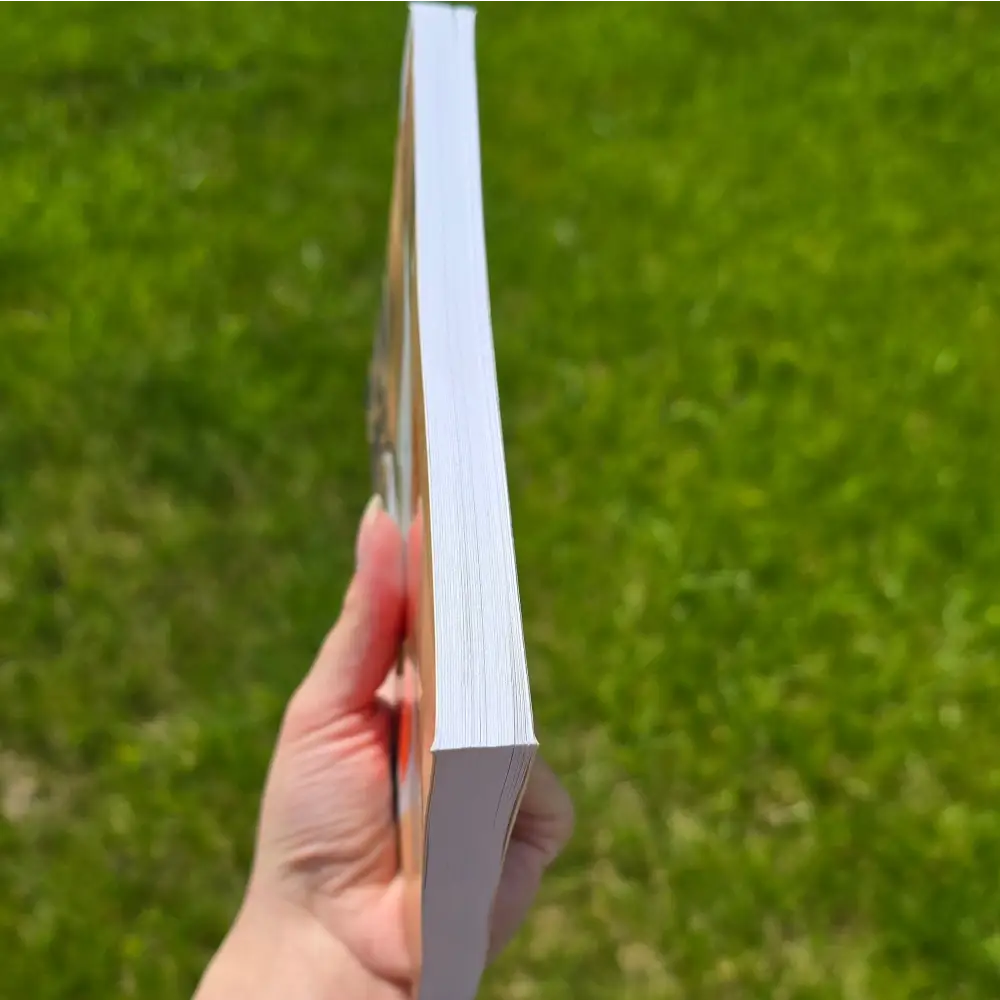 Summer Boys #4: Last Summer (4) by Hailey Abbott - Books