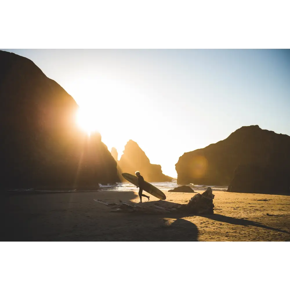 Surf Odyssey Book