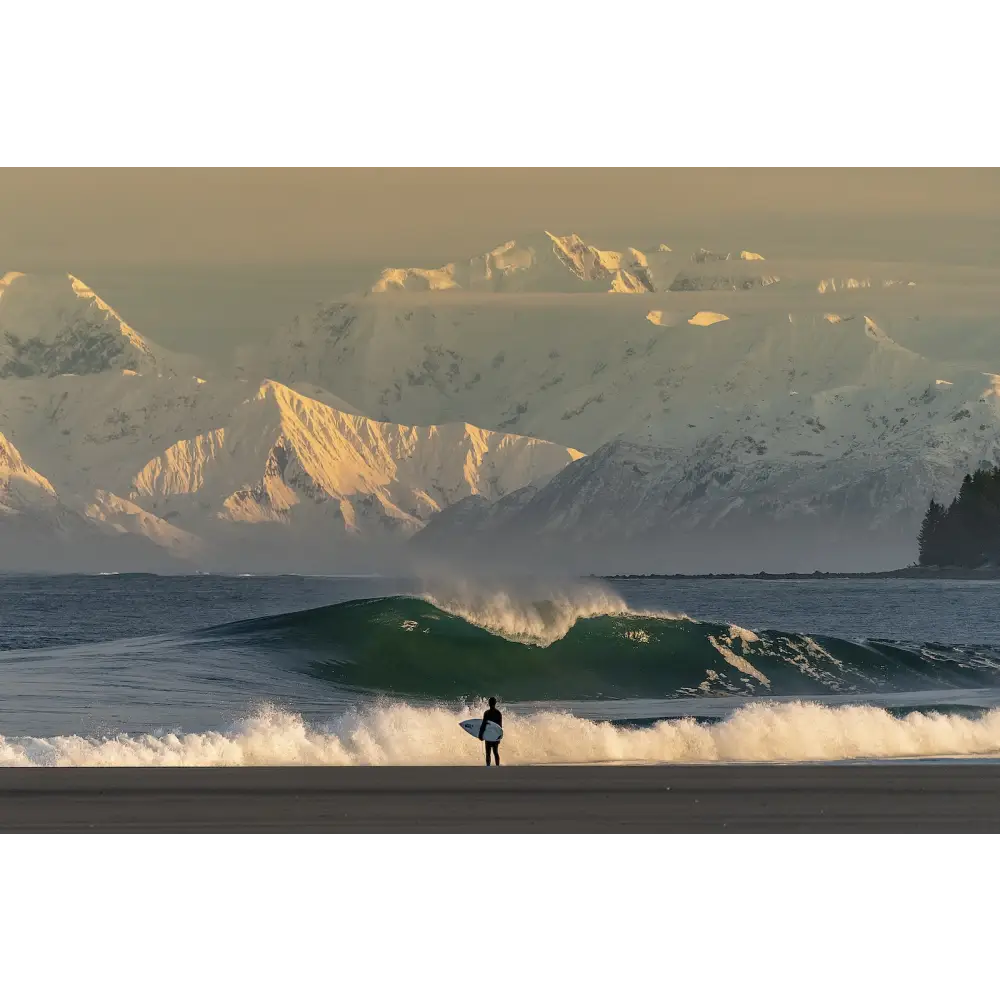 Surf Porn Book