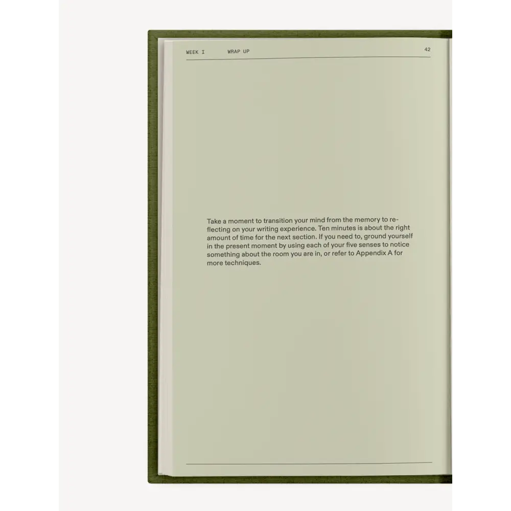 The After Trauma Notebook Notebook