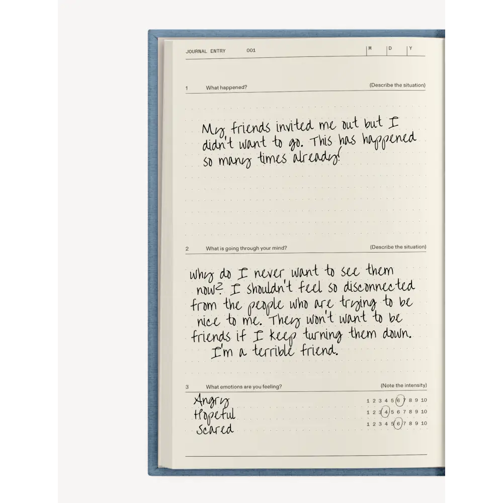 The Anti Anxiety Notebook Notebook