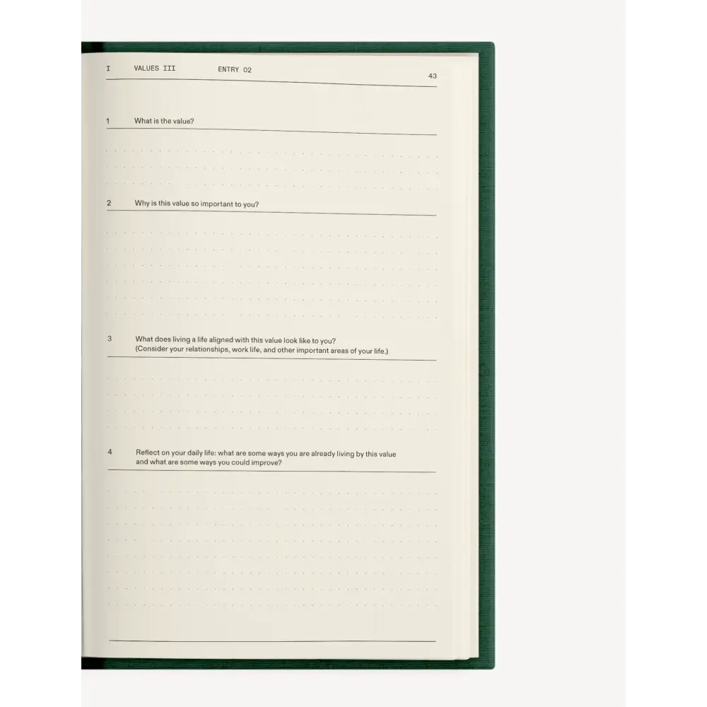 The Field Guide for Depression Notebook