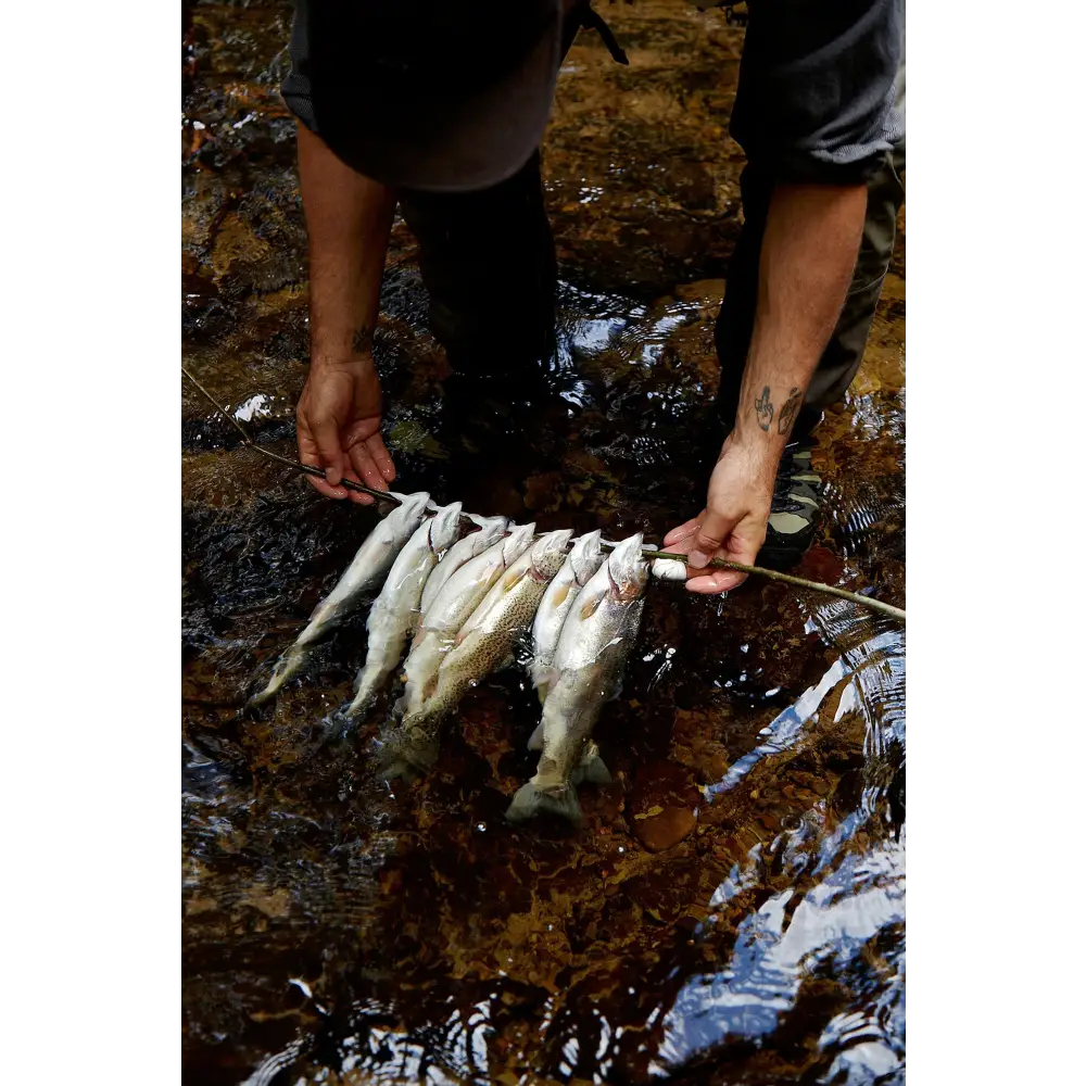 The Fly Fisher Book