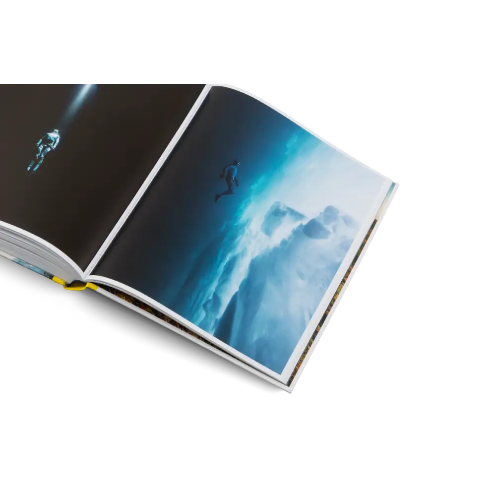 The New Outsiders Book