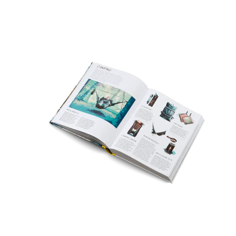 The New Outsiders Book