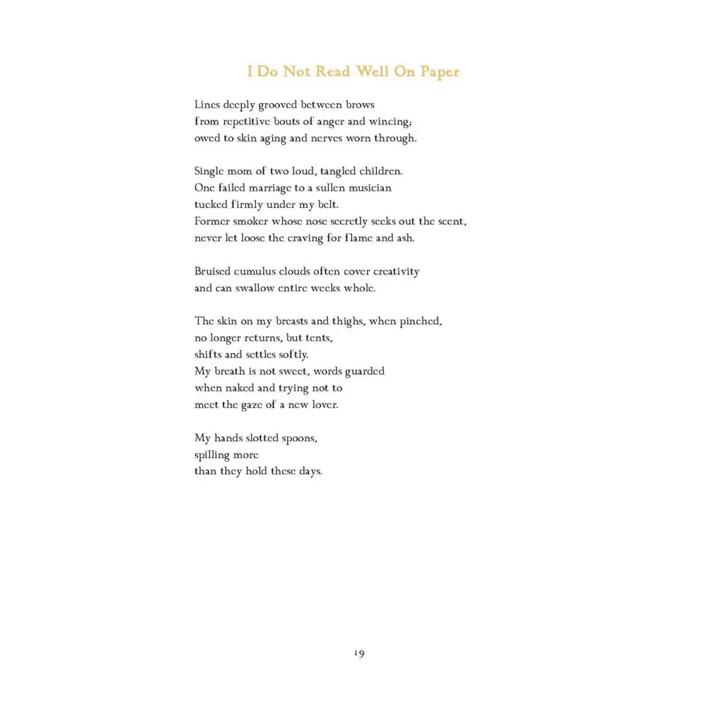 Until the roof lifted Books